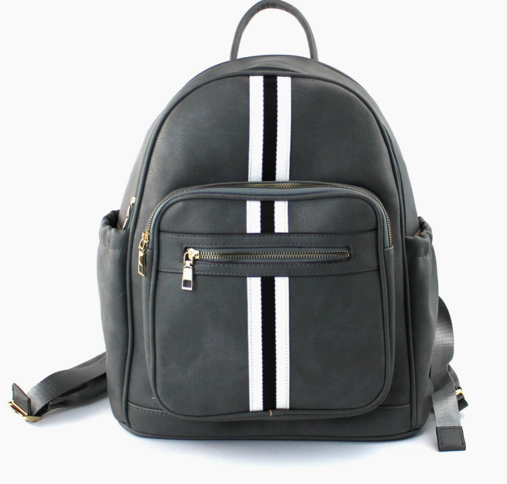 Gray Striped BackPack