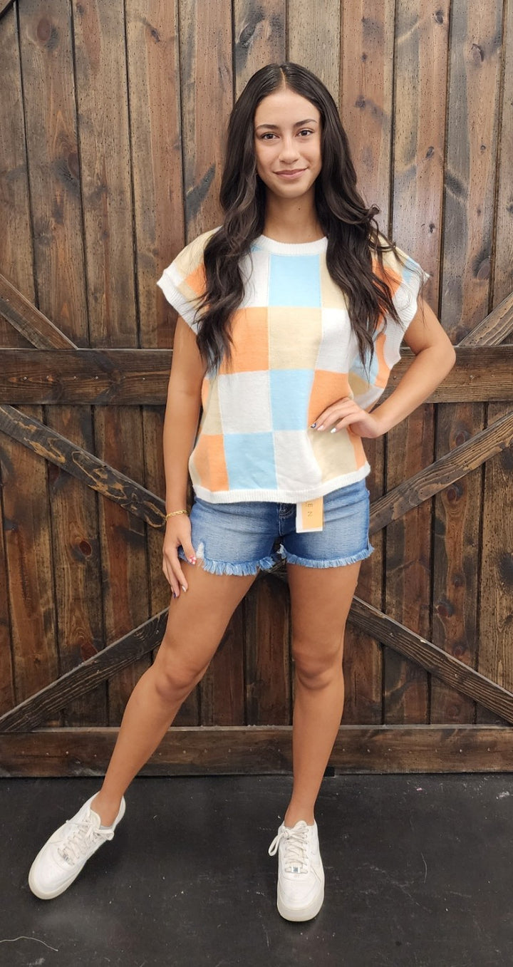 Multi Colored Checker Sweater Vest