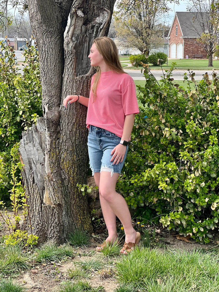 Distressed Bermuda Shorts JB 15259