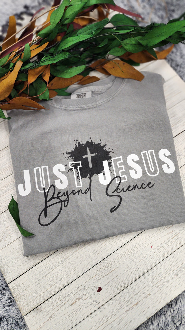 Just Jesus Beyond Science