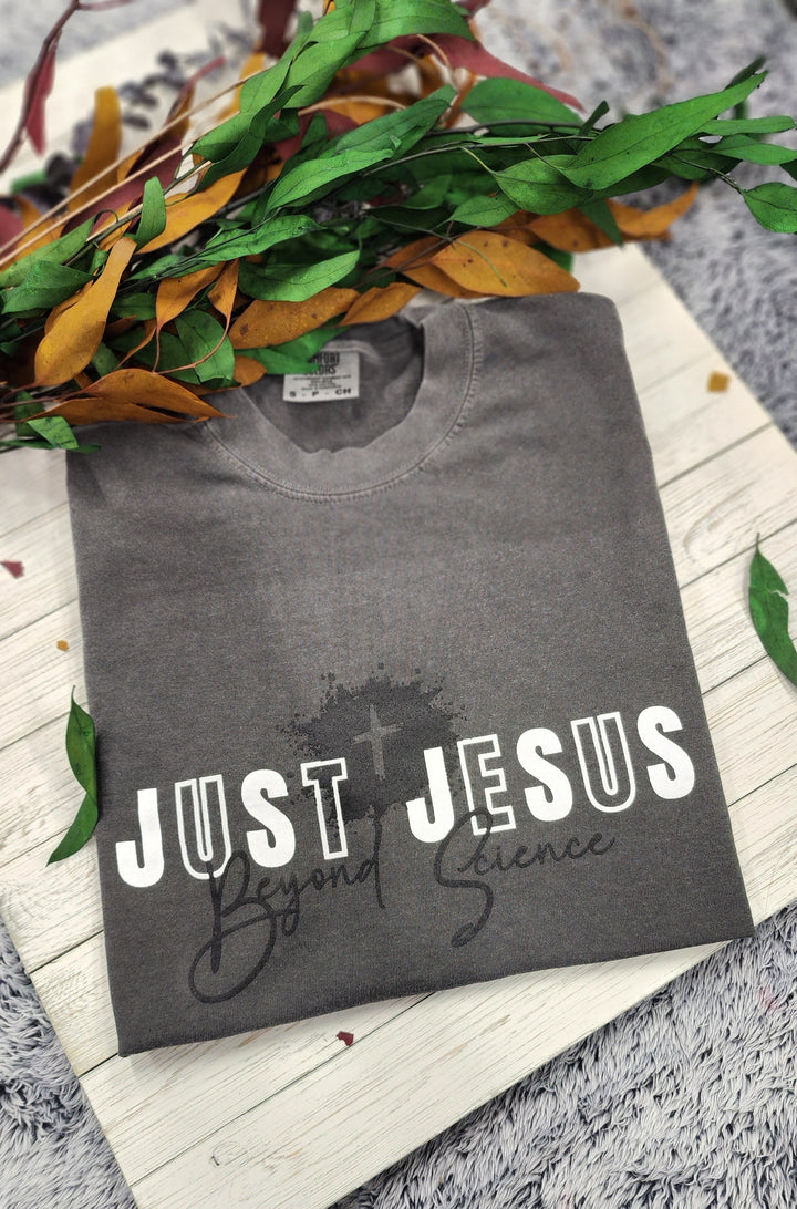Just Jesus Beyond Science